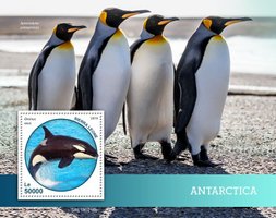 Fauna of Antarctica