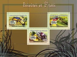 Insects and fruits