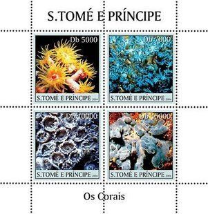 Corals