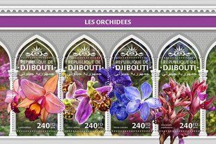 Orchids