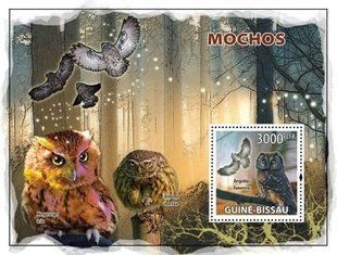 Owls