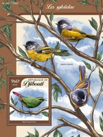Birds. Passerine songbirds