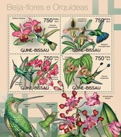 Колибри и орхидеи
