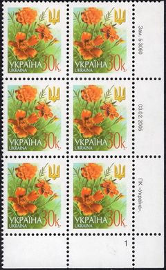 2005 0,30 VI Definitive Issue 5-3060 (m-t 2005) 6 stamp block RB1