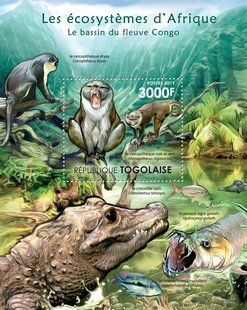 Басейн ріки Конго