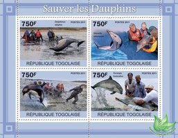 Порятунок дельфінів
