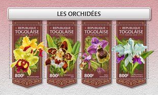 Orchids