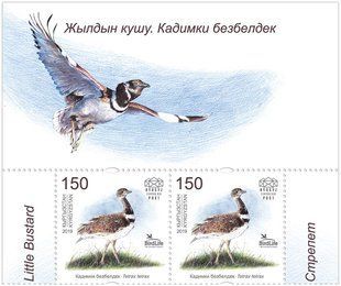 Bird of the Year Bustard