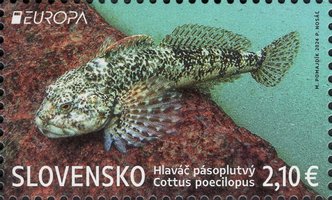 EUROPA. Подводная фауна и флора
