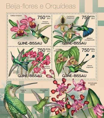 Hummingbirds and orchids