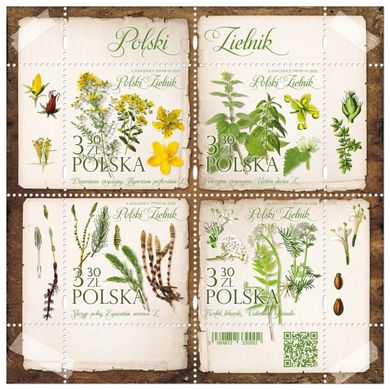 Polish herbarium