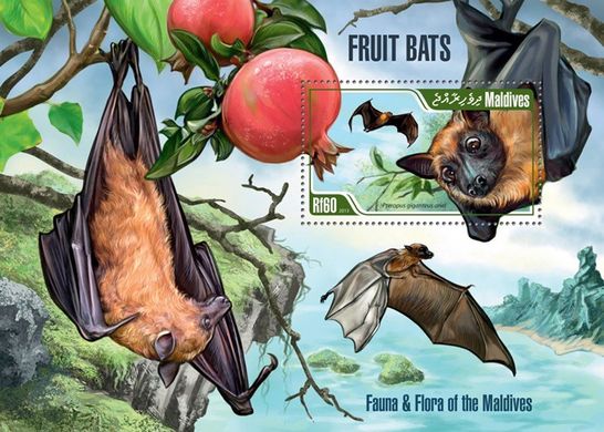 Fruit. Bats