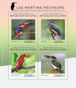 Kingfisher Birds