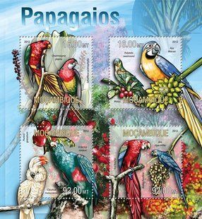 Parrots