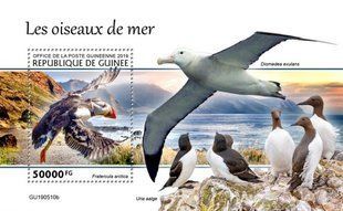 Seabirds