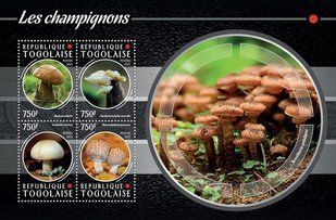 Fungi