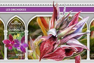 Orchids