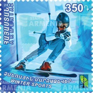 Winter sports