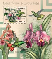Колібрі і орхідеї