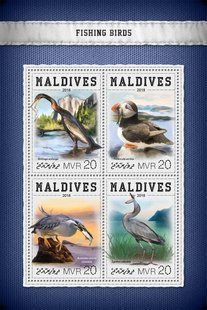 Fishing birds