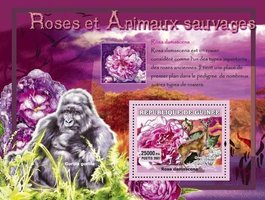 Roses and wild animals