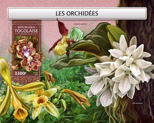 Orchids