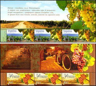 Winemaking