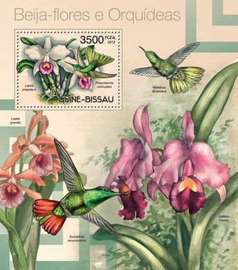 Колібрі і орхідеї