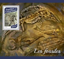 Fossils. Petrified