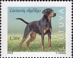 Lithuanian hound