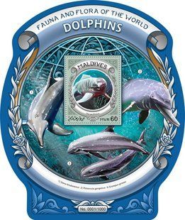 Dolphins