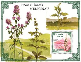 Медичні рослини