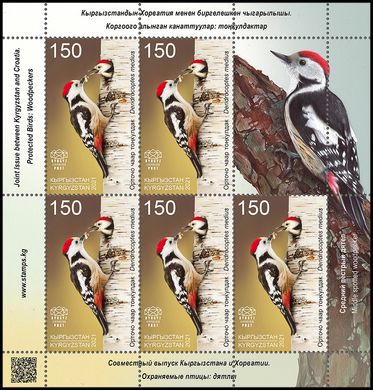 Joint issue Kyrgyzstan-Croatia. Woodpeckers