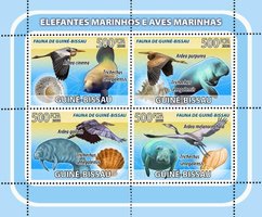 Elephant seals. Seabirds. Shells