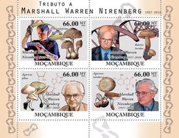 Biochemist Marshall Warren Nirenberg