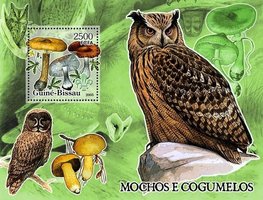 Owls and fungi