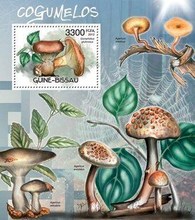 Fungi