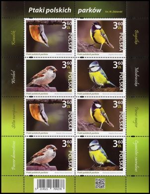 Птахи польських парків