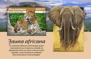 Африканская фауна