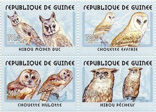 Owls