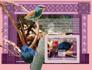 Birds