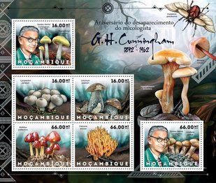 Fungi