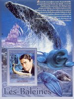 Whales. Gregory Peck. Ship