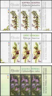 Orchids