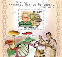Biochemist Marshall Warren Nirenberg