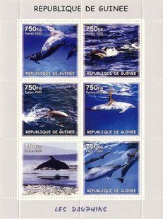 Dolphins