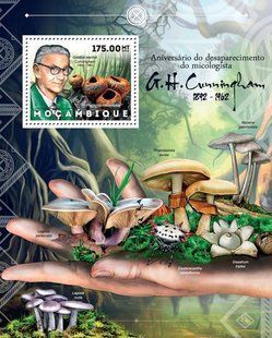 Fungi