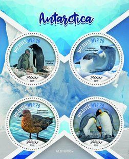 Antarctica