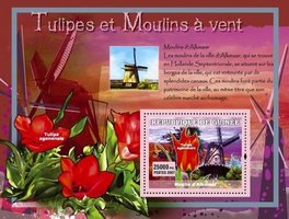 Flowers and windmills