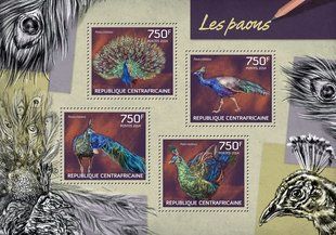 Peacocks